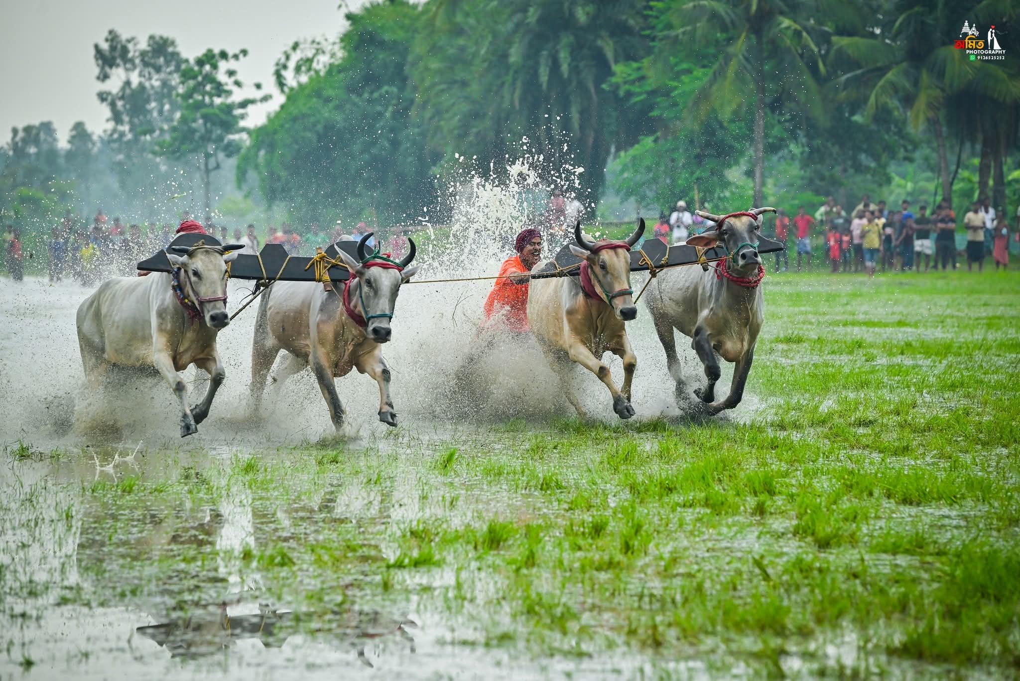 Street Photography photo 59