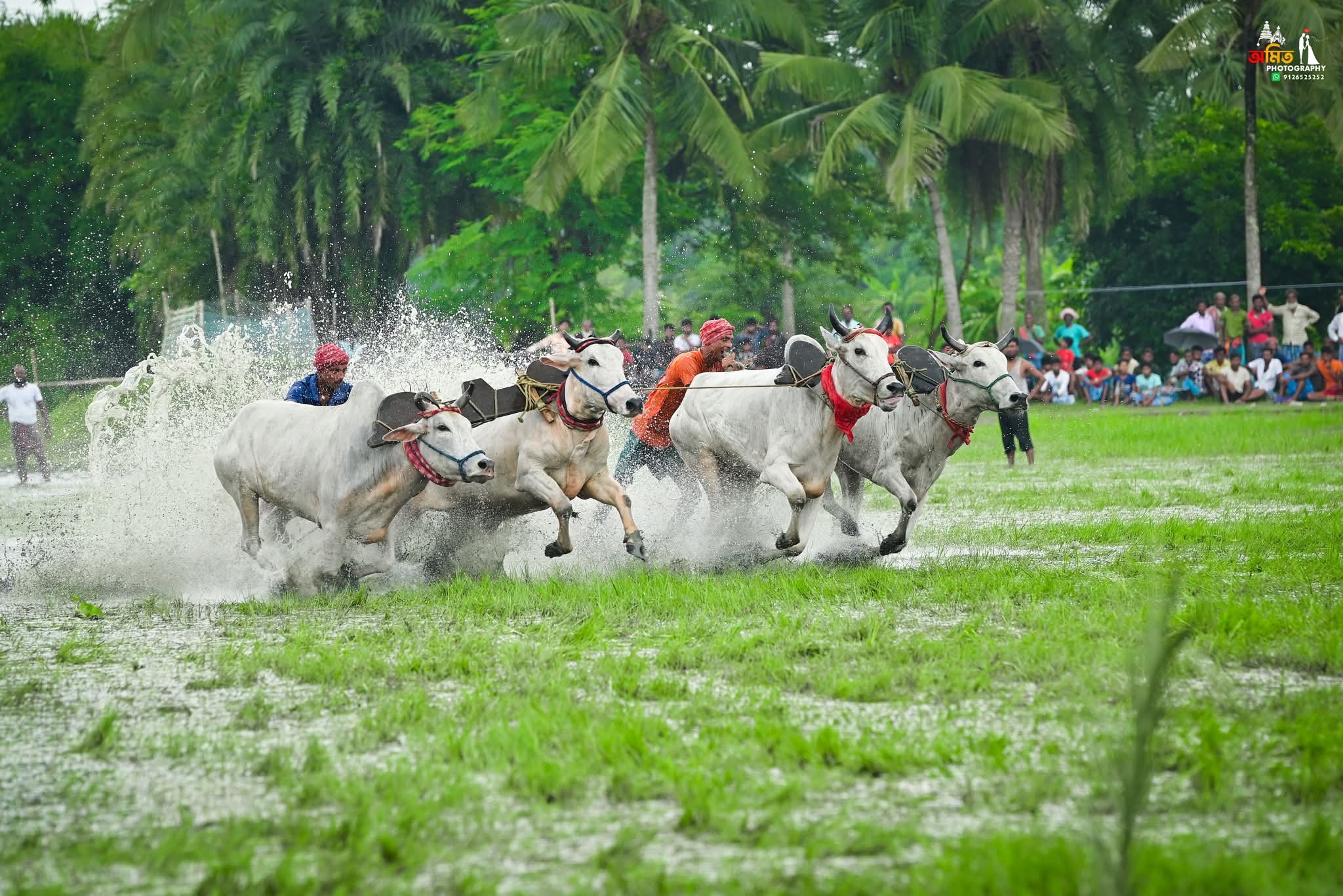 Street Photography photo 57