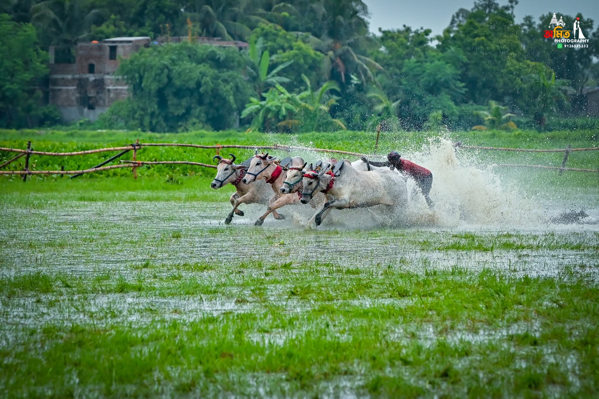 Street Photography photo 55