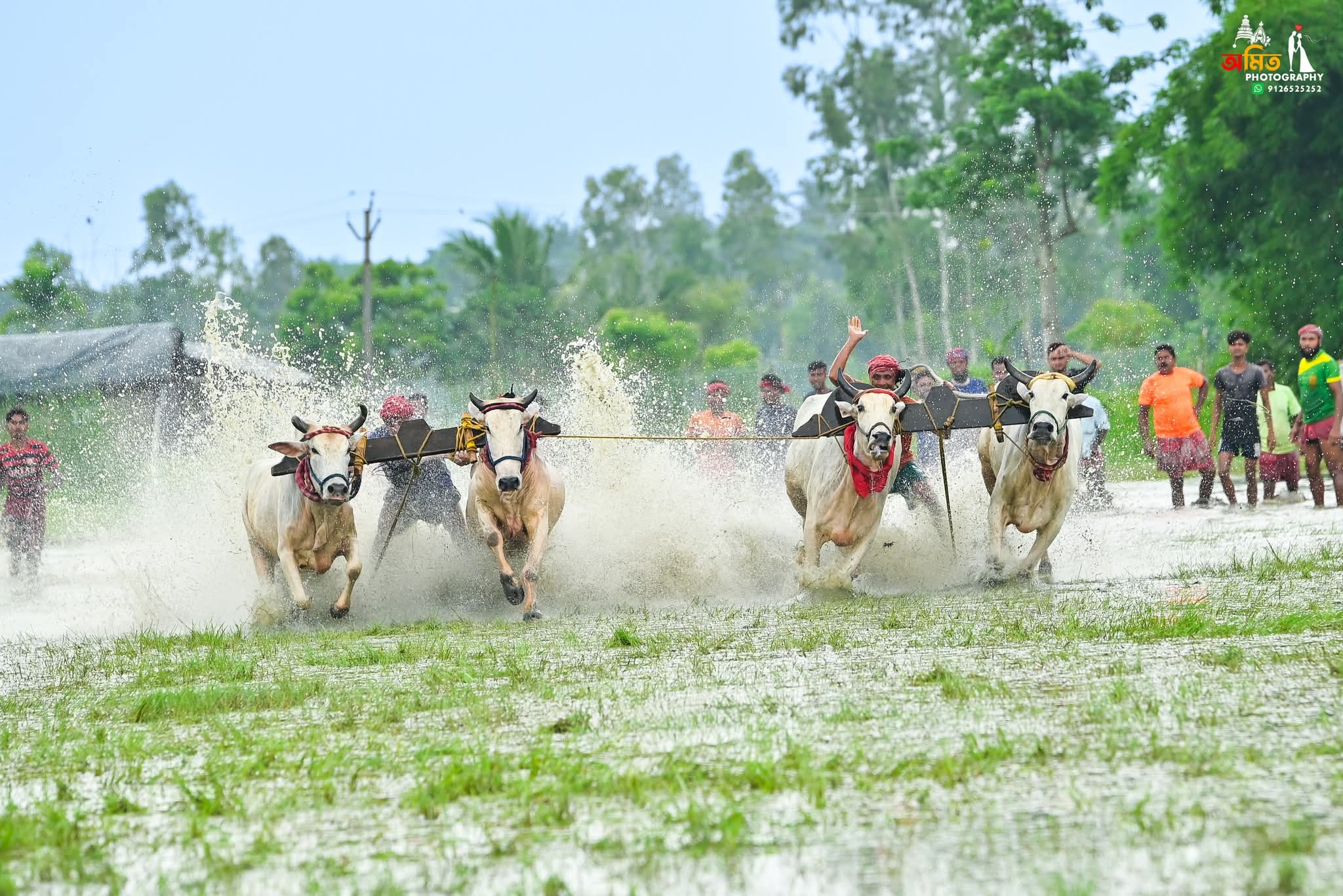 Street Photography photo 54